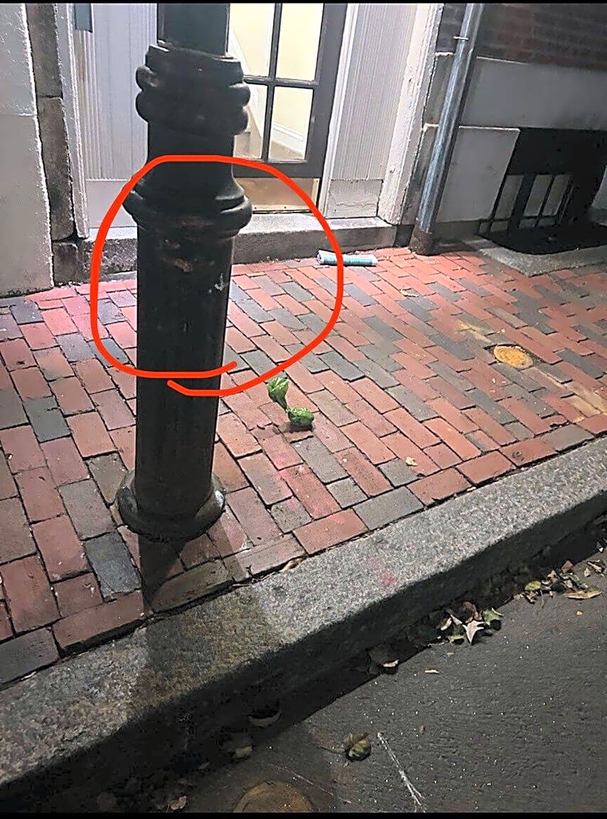 Image submitted with report