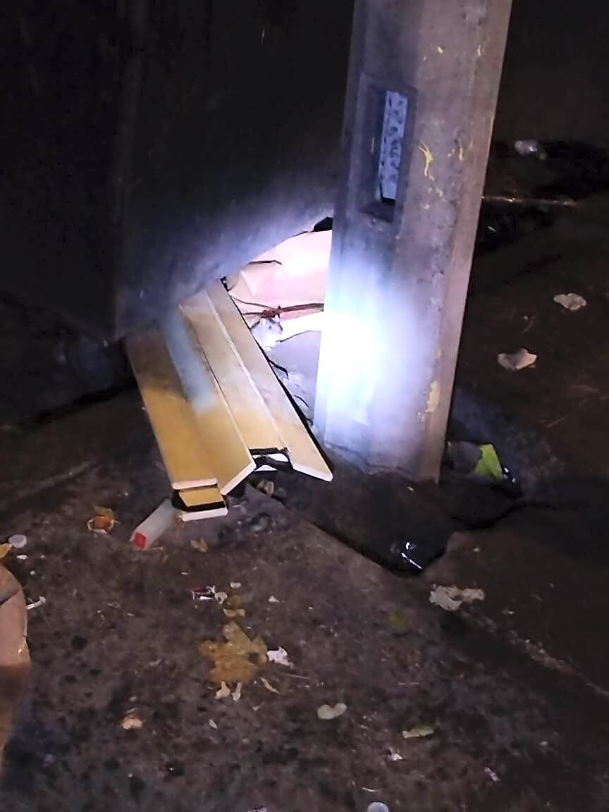 Image submitted with report