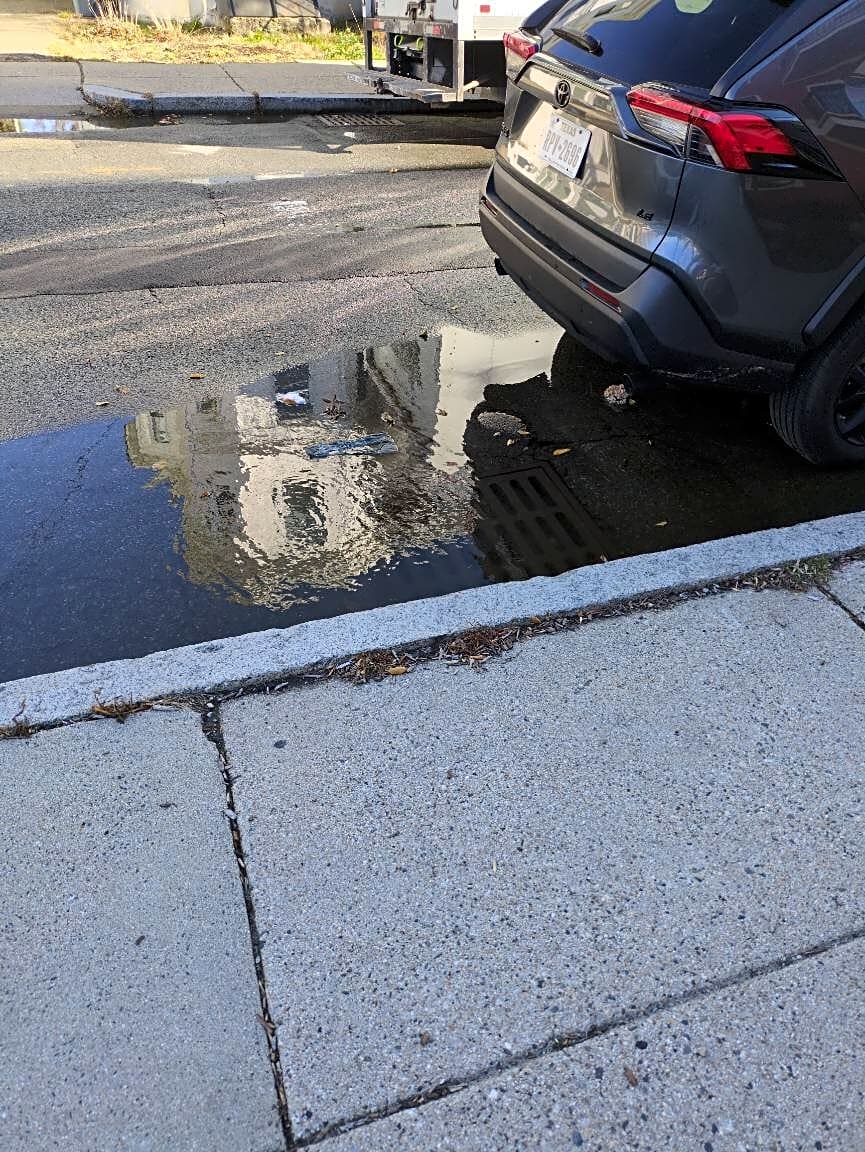 Image submitted with report