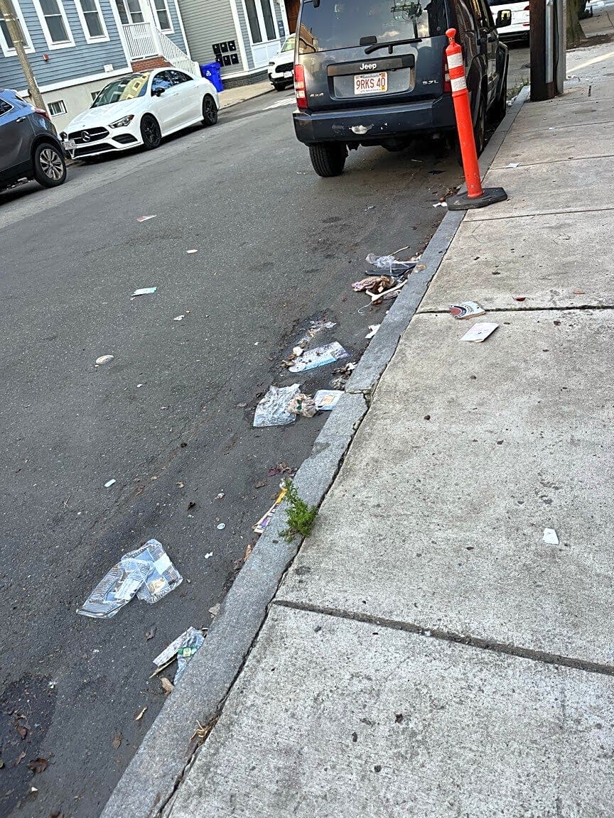Image submitted with report