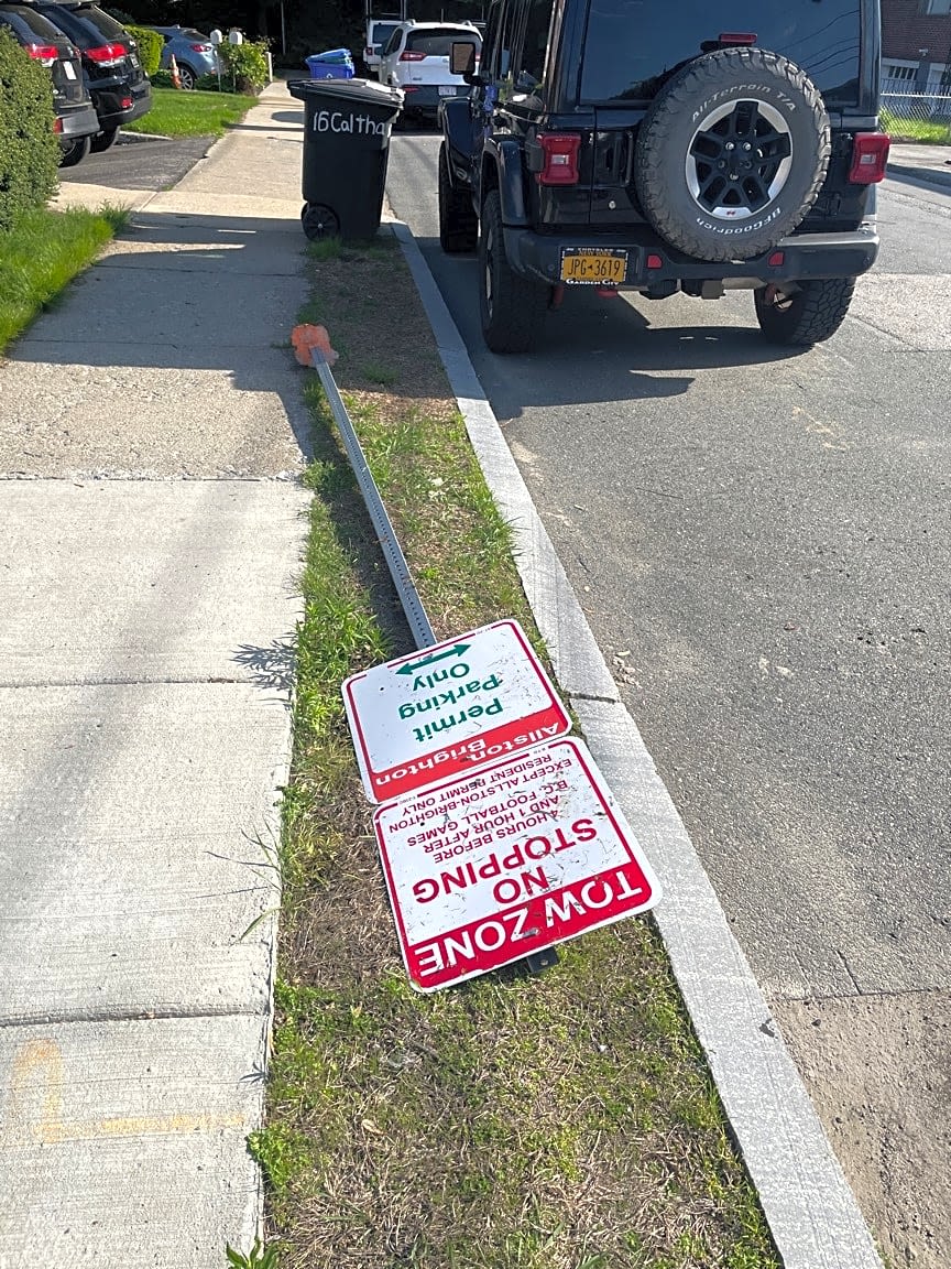 Image submitted with report