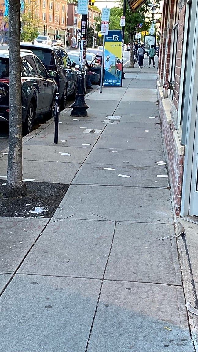Image submitted with report