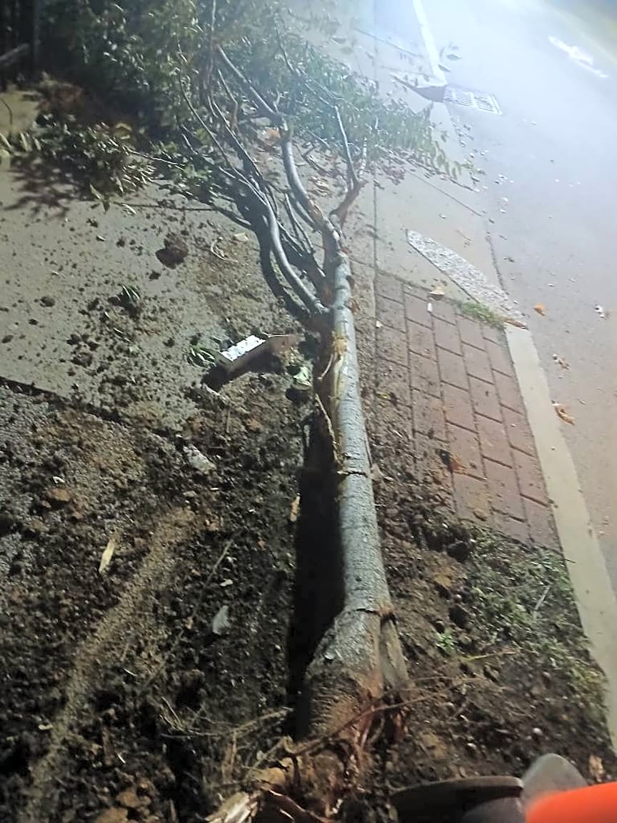 Image submitted with report