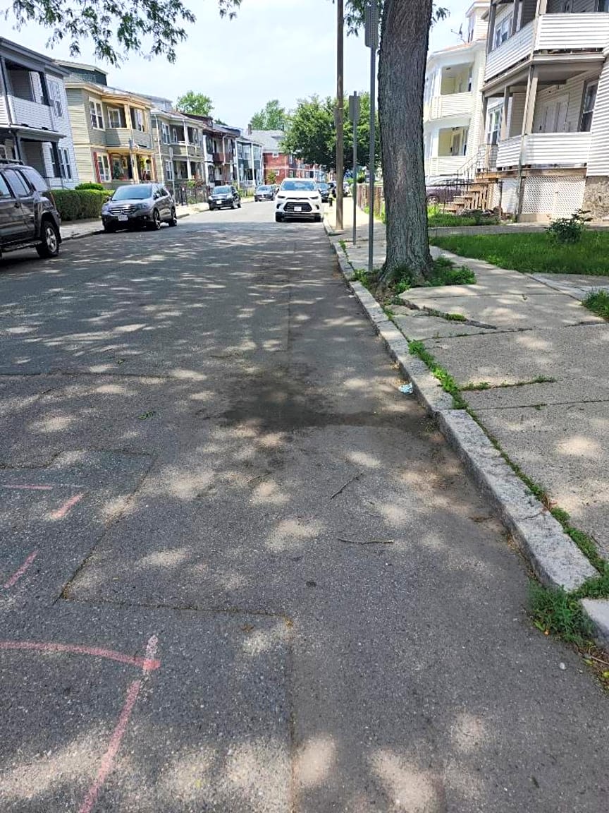 Image submitted with report