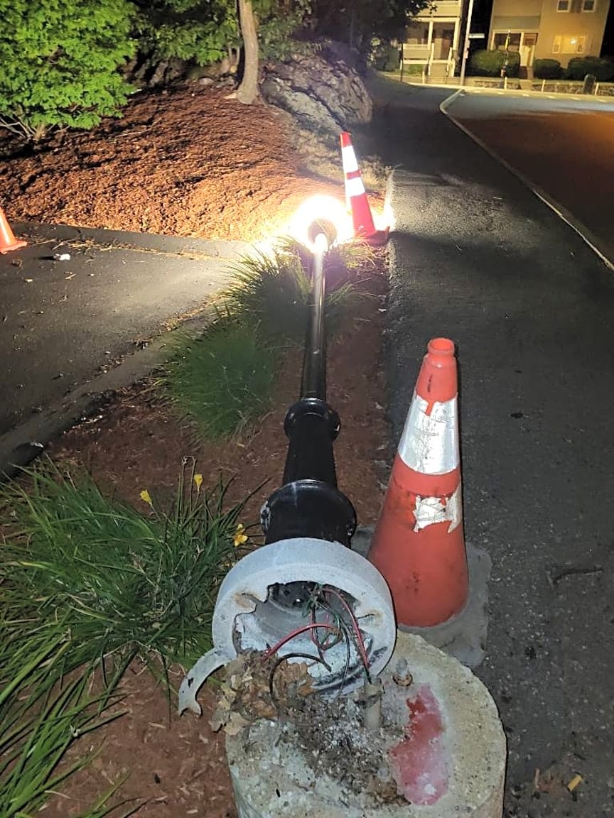 Image submitted with report