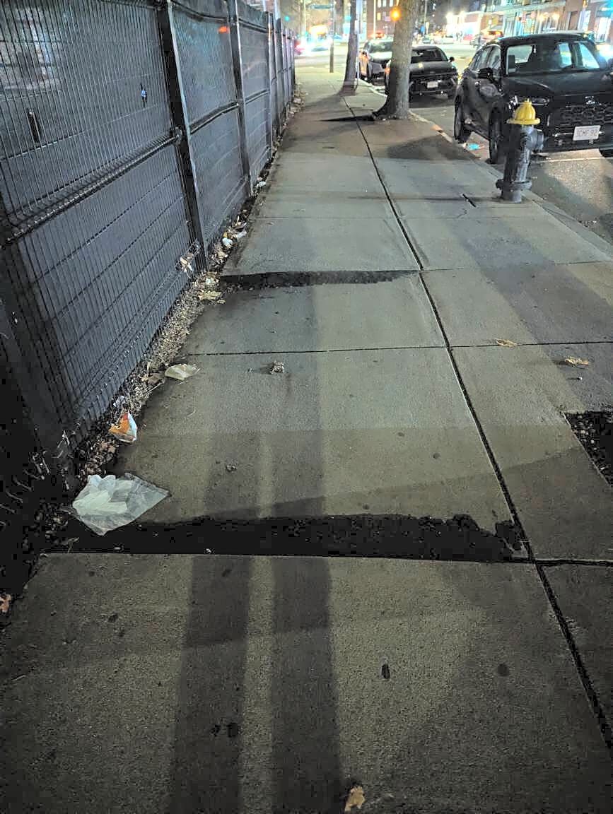 Image submitted with report