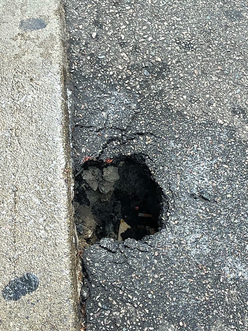 Image submitted with report