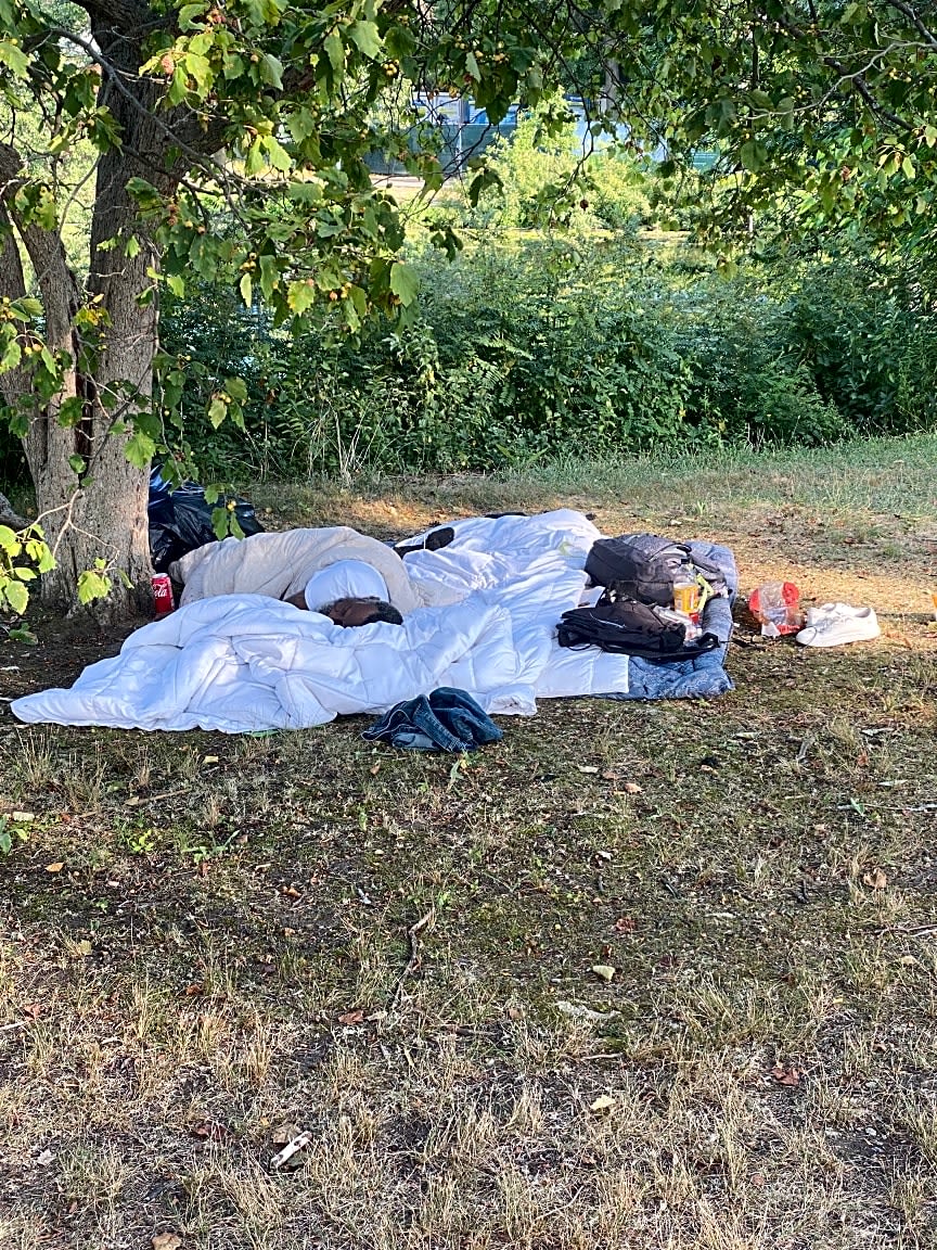 Image submitted with report