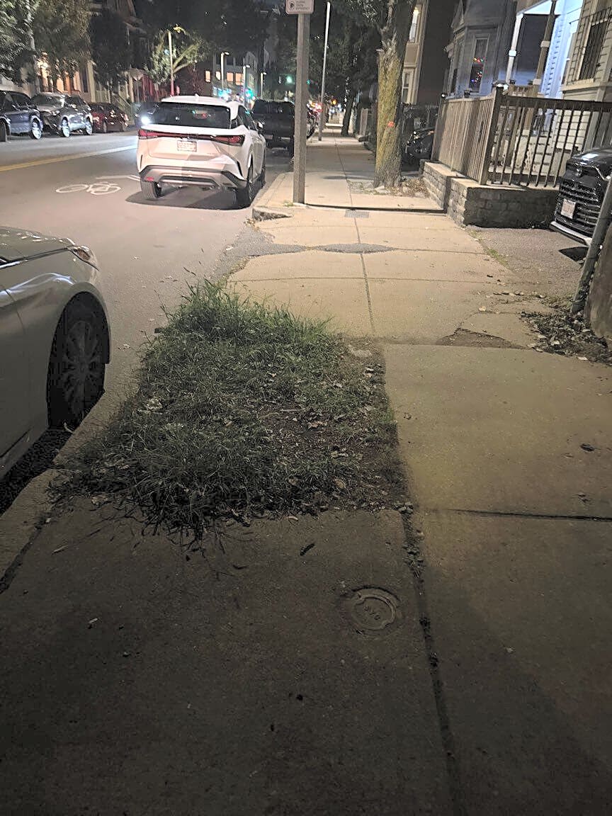 Image submitted with report
