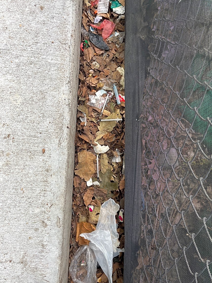 Image submitted with report