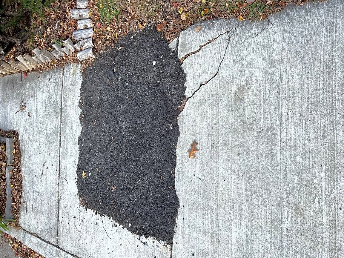 Image submitted with report