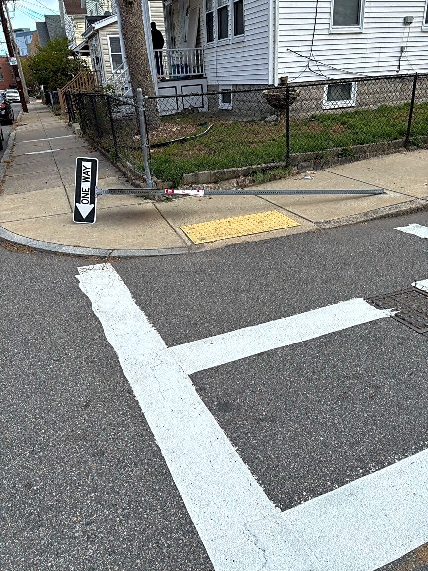 Image submitted with report