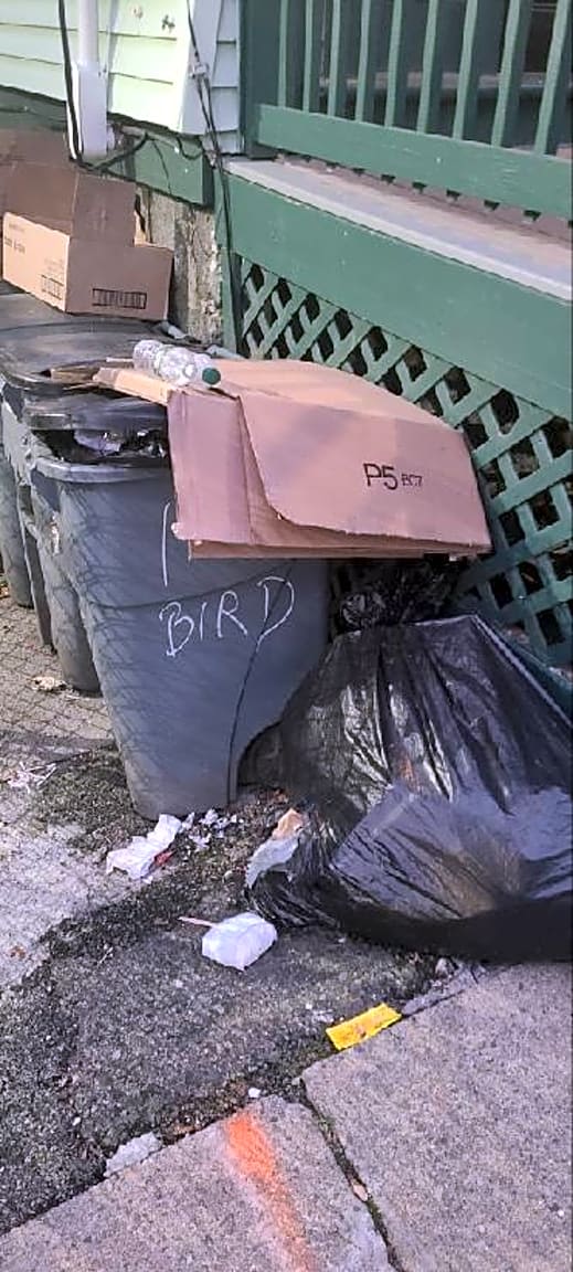 Image submitted with report