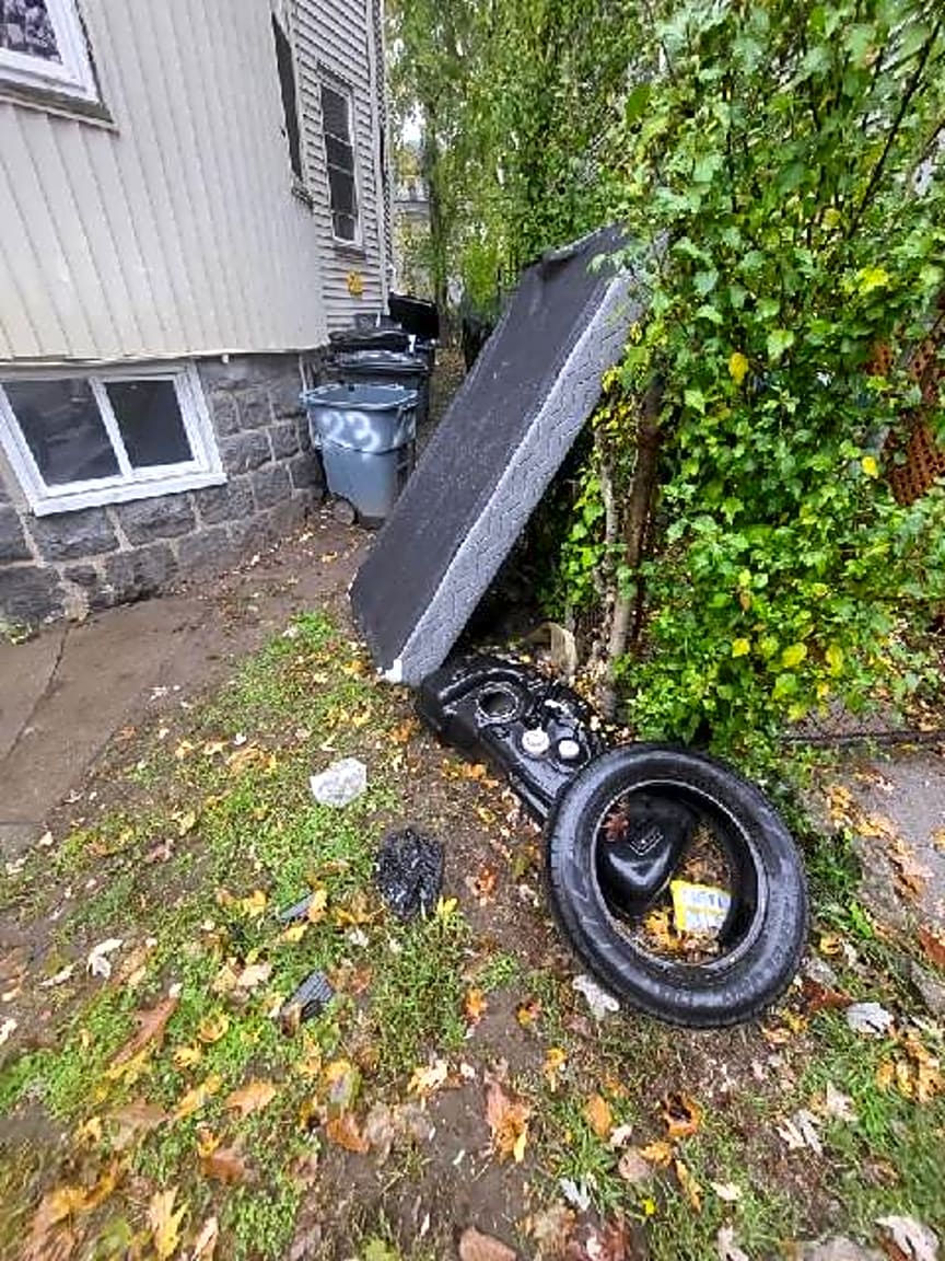 Image submitted with report