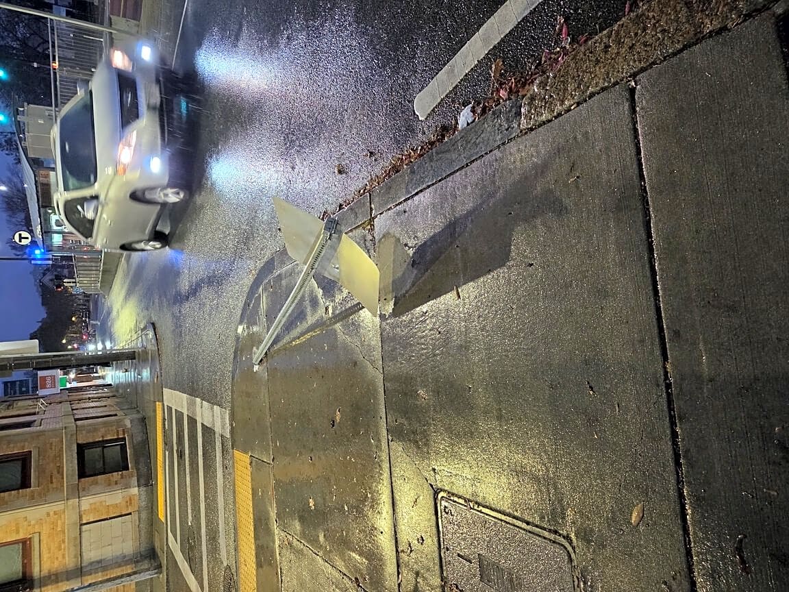 Image submitted with report