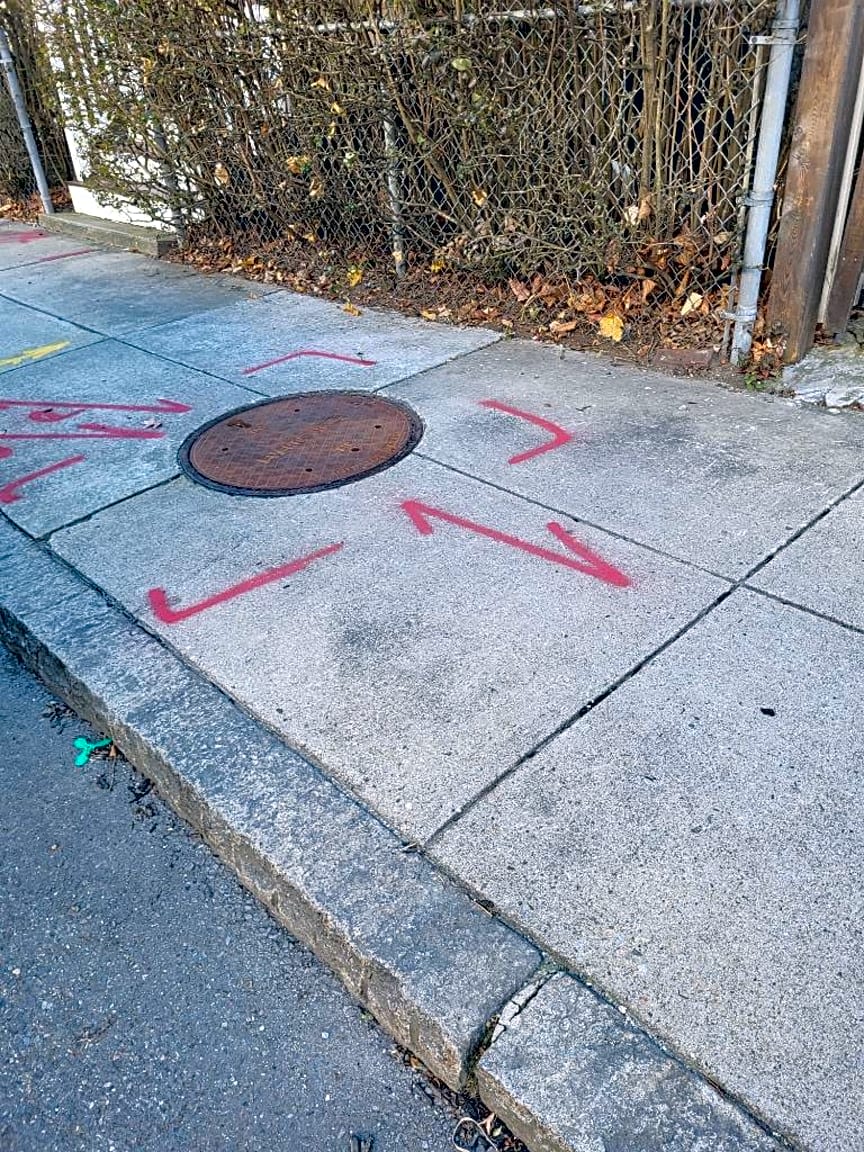 Image submitted with report