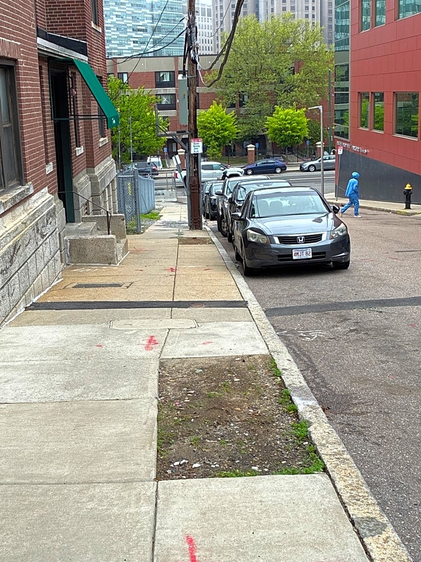 Image submitted with report