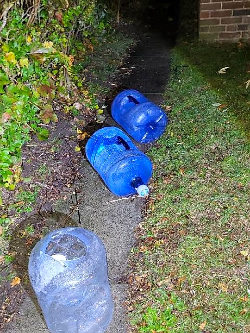 Image submitted with report