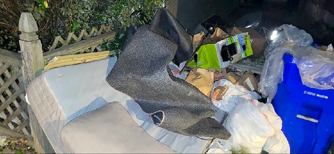 Image submitted with report