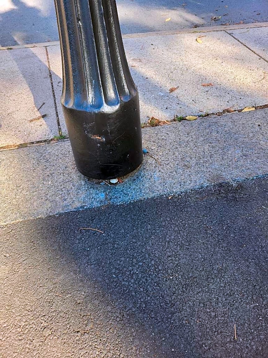 Image submitted with report