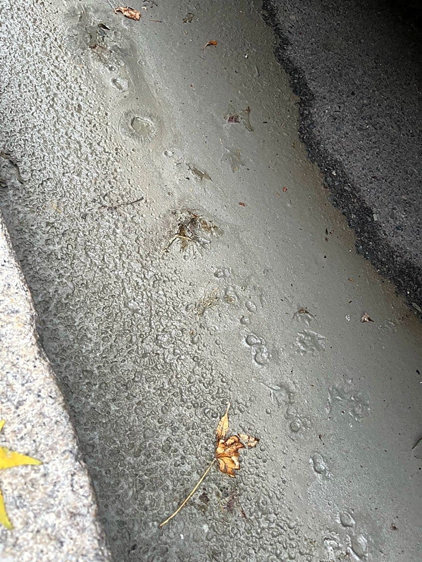 Image submitted with report