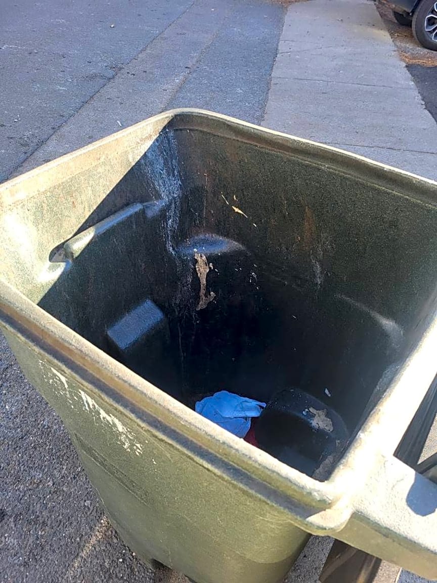 Image submitted with report