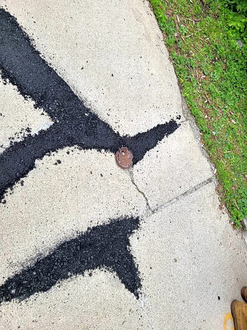 Image submitted with report