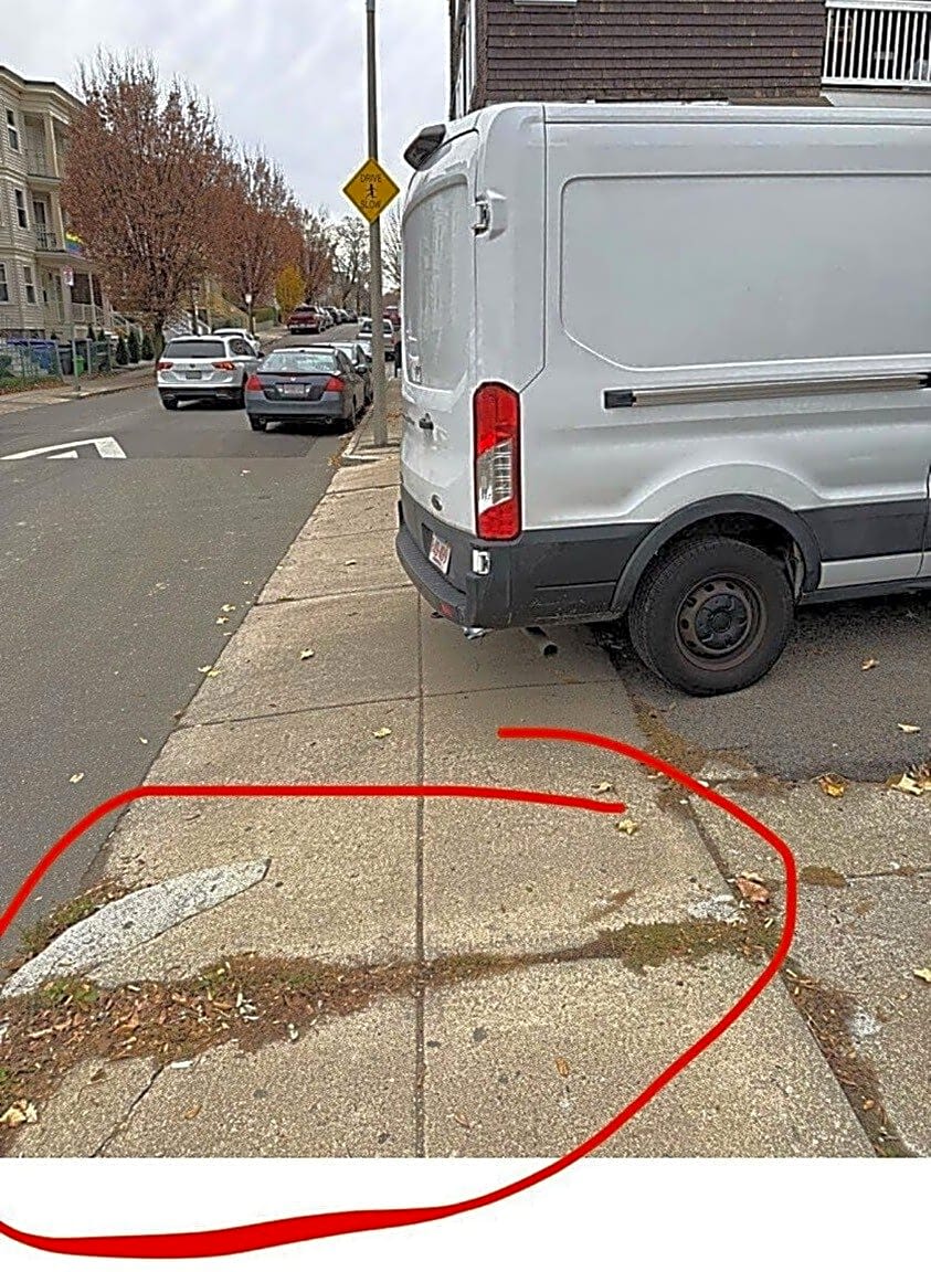 Image submitted with report