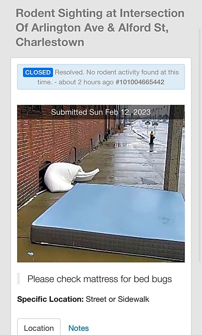 Image submitted with report