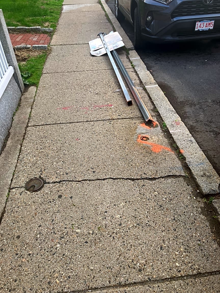 Image submitted with report