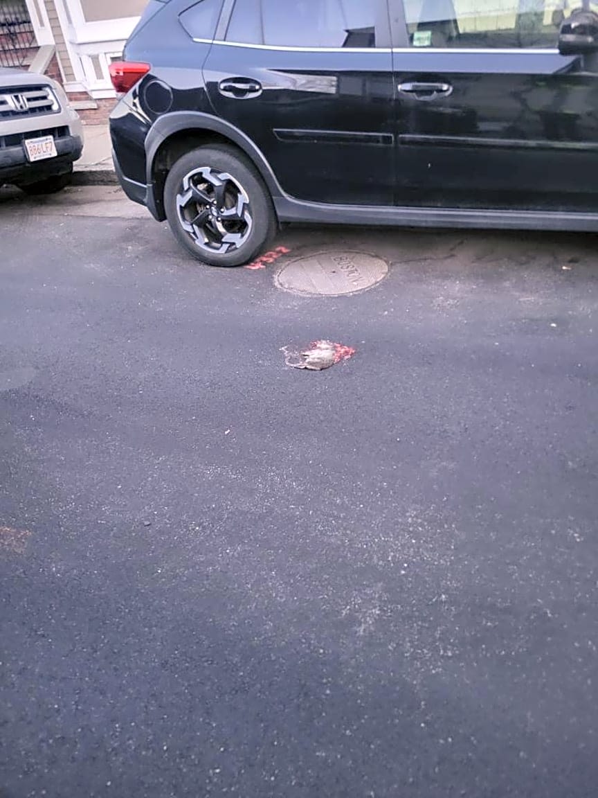 Image submitted with report