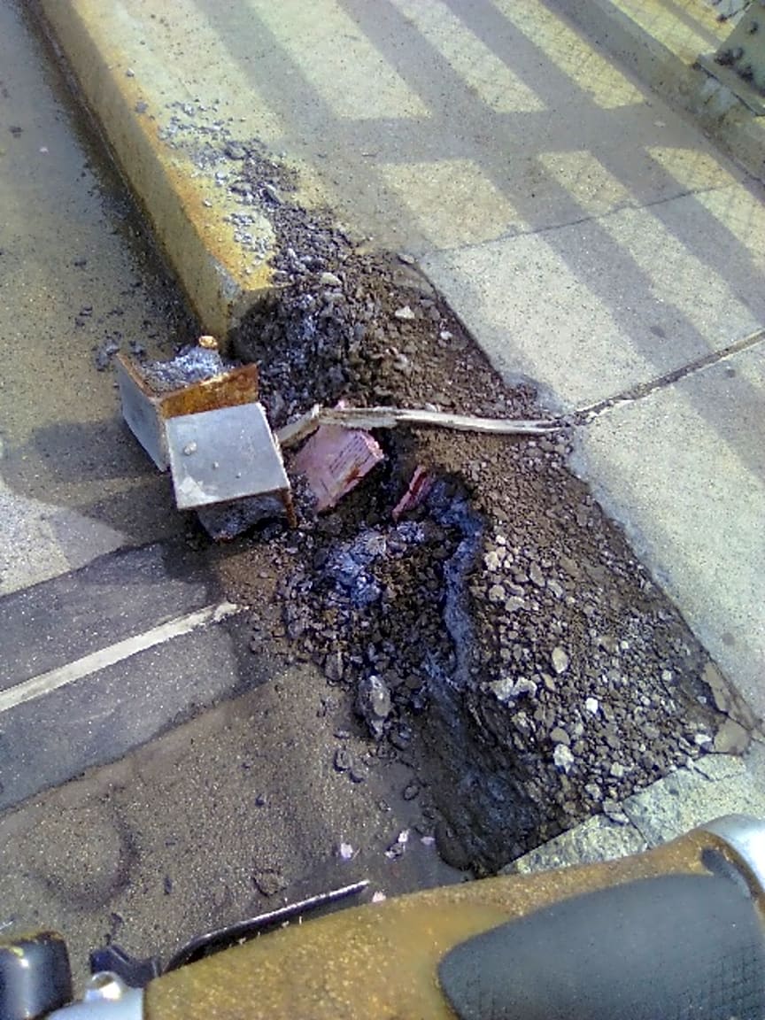 Image submitted with report