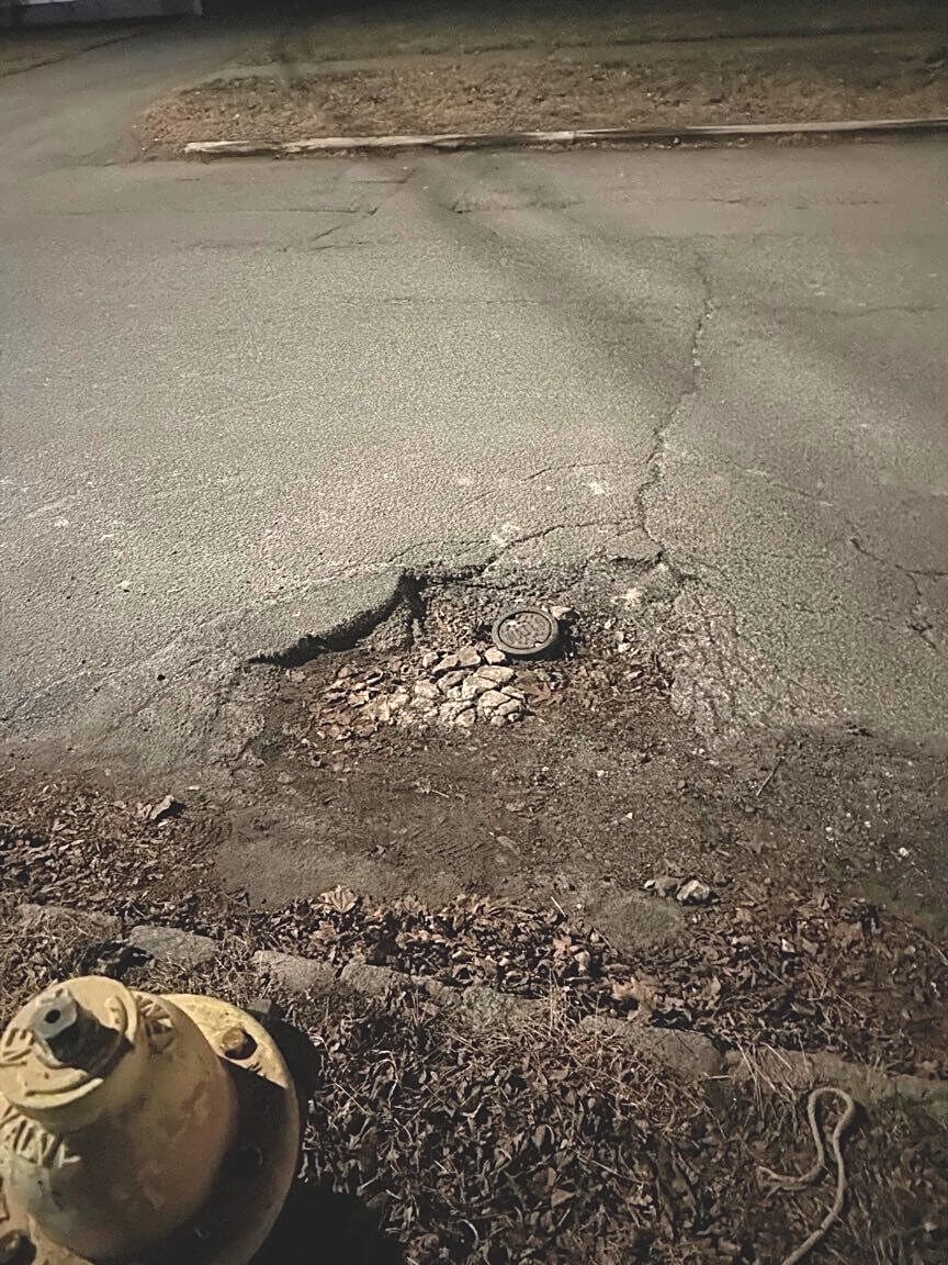 Image submitted with report