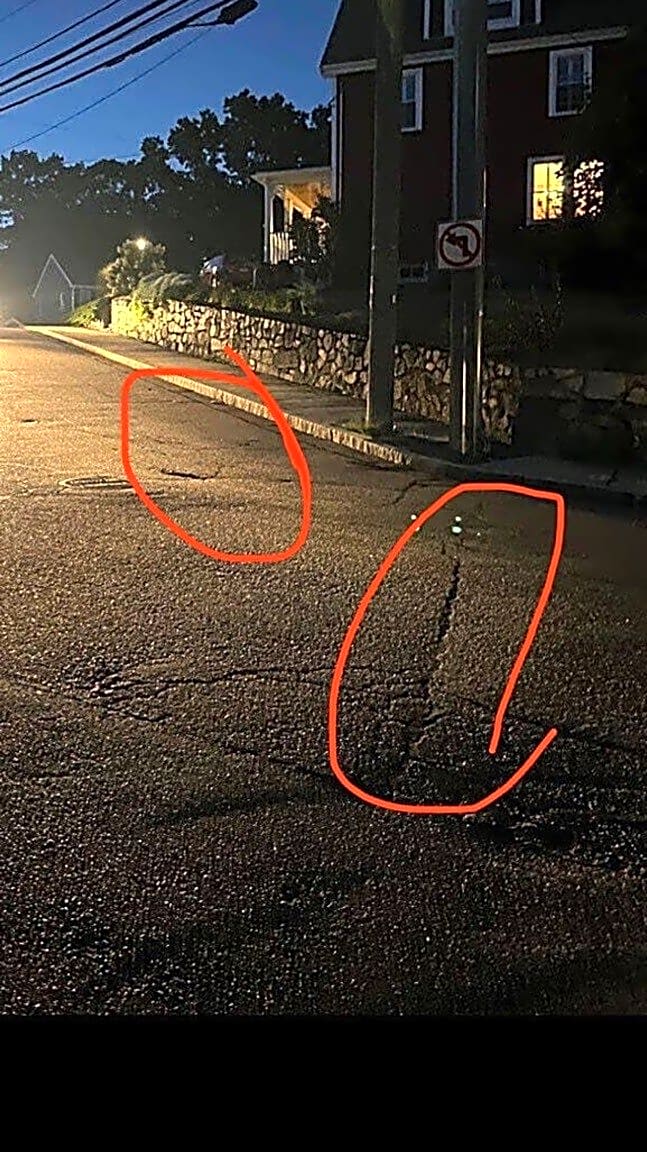 Image submitted with report