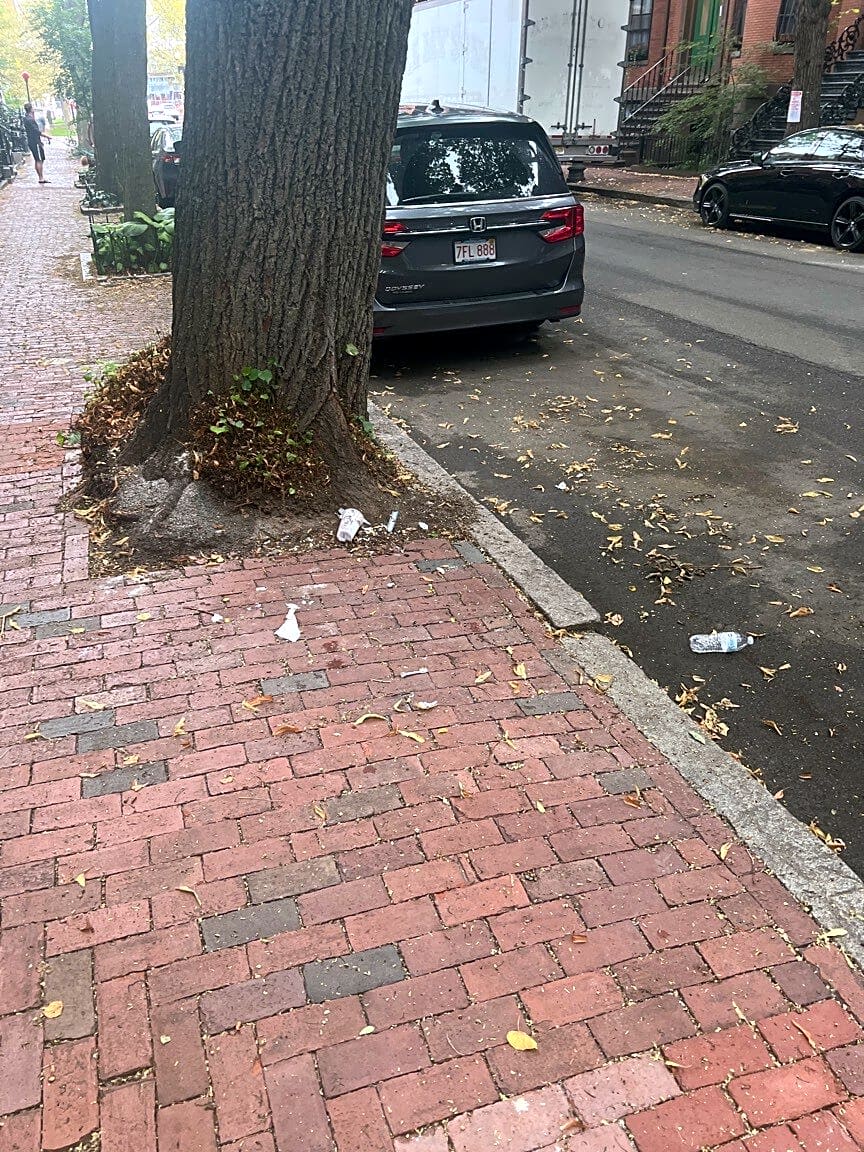 Image submitted with report