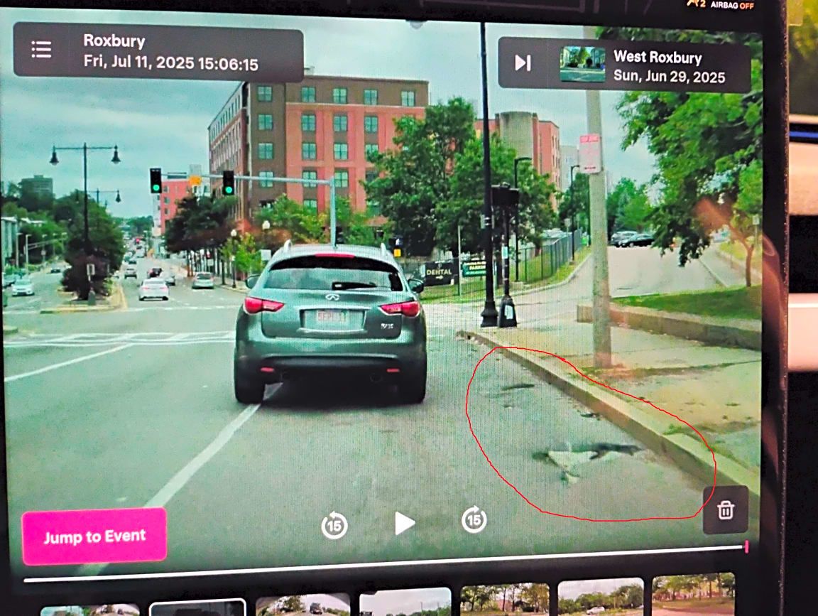 Image submitted with report