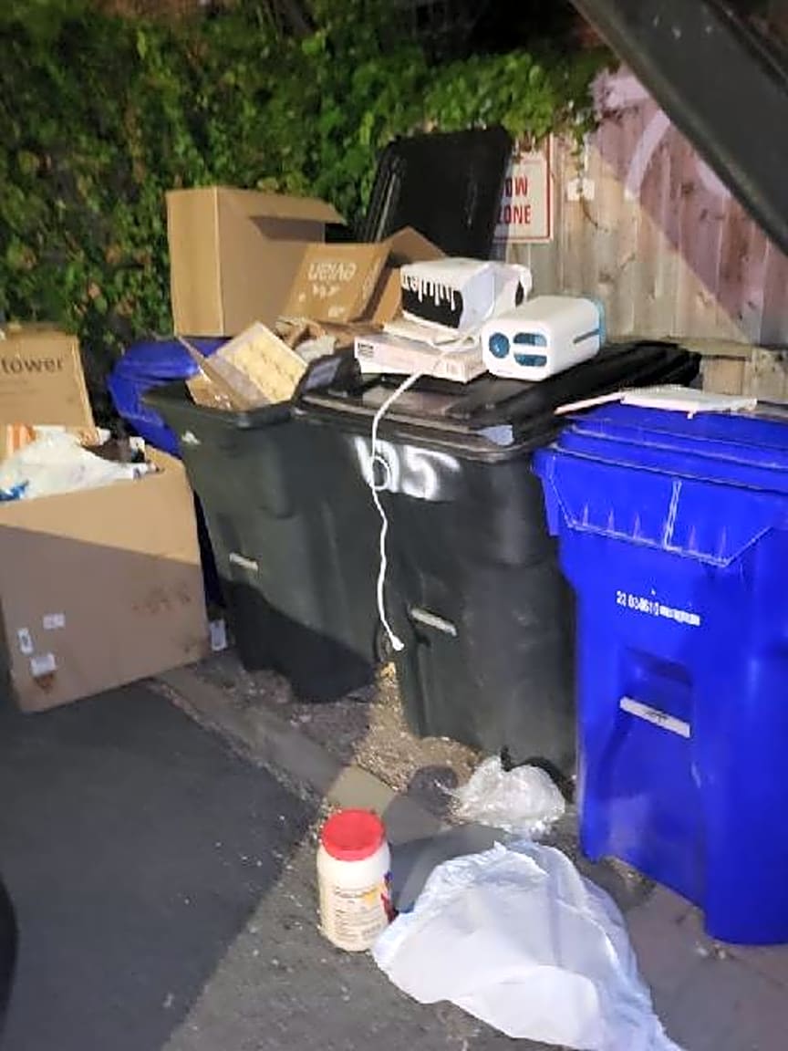 Image submitted with report