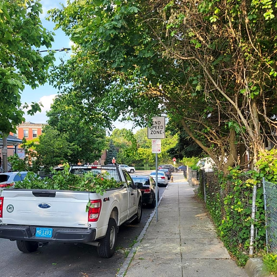 Image submitted with report