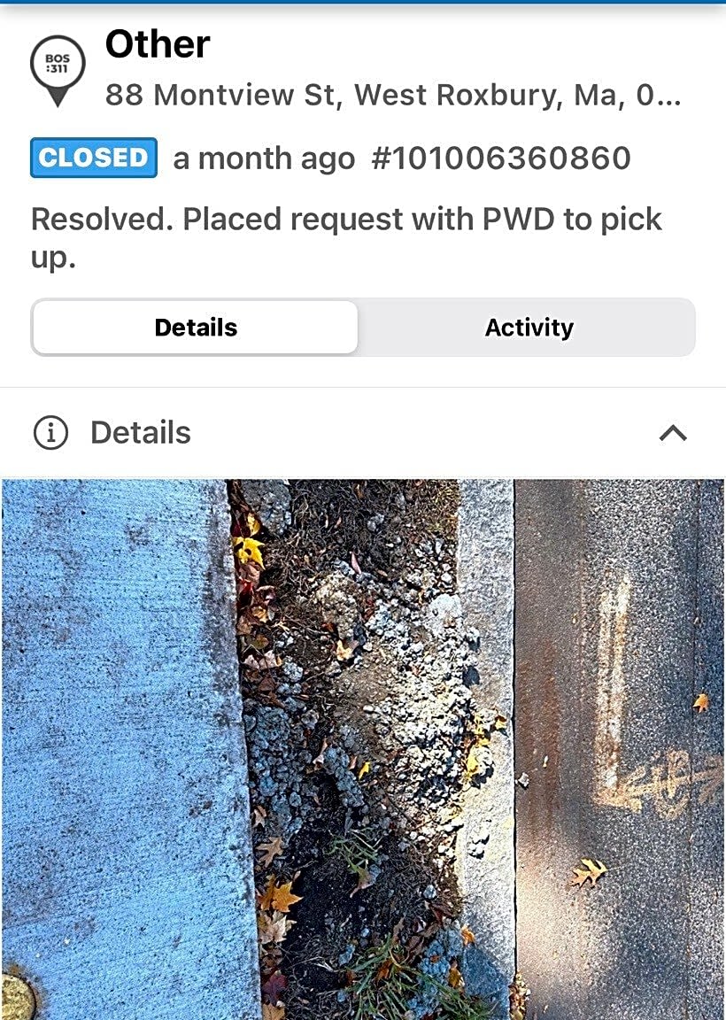 Image submitted with report