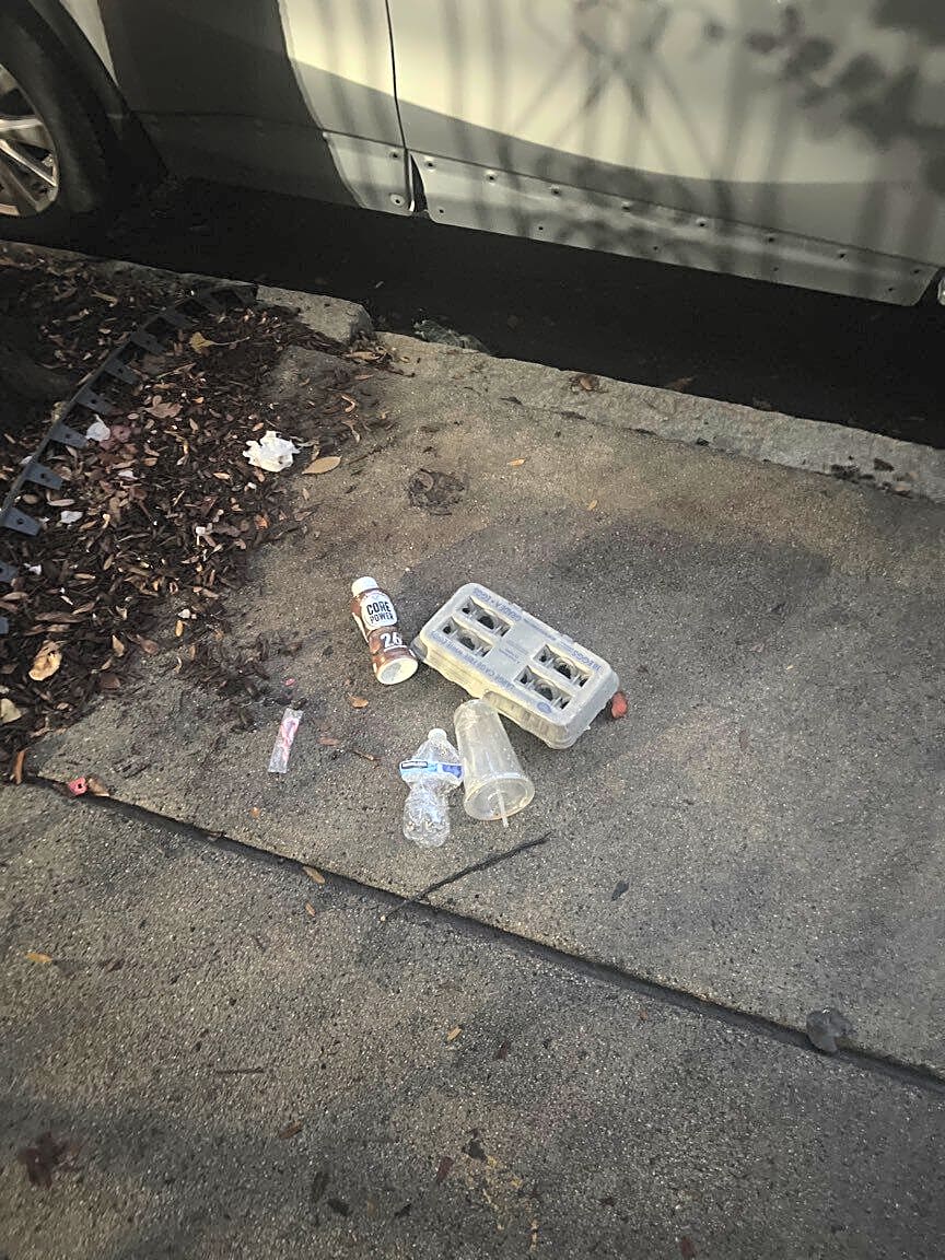 Image submitted with report