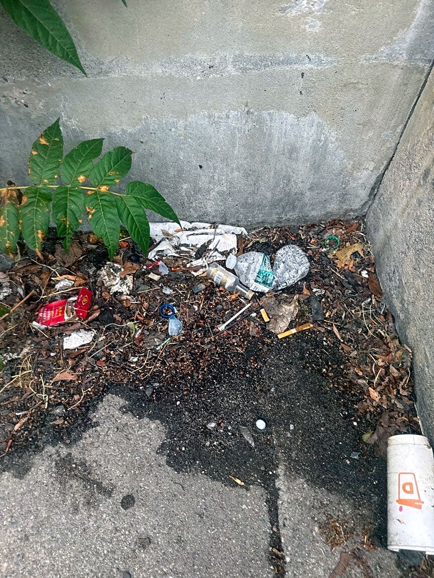 Image submitted with report