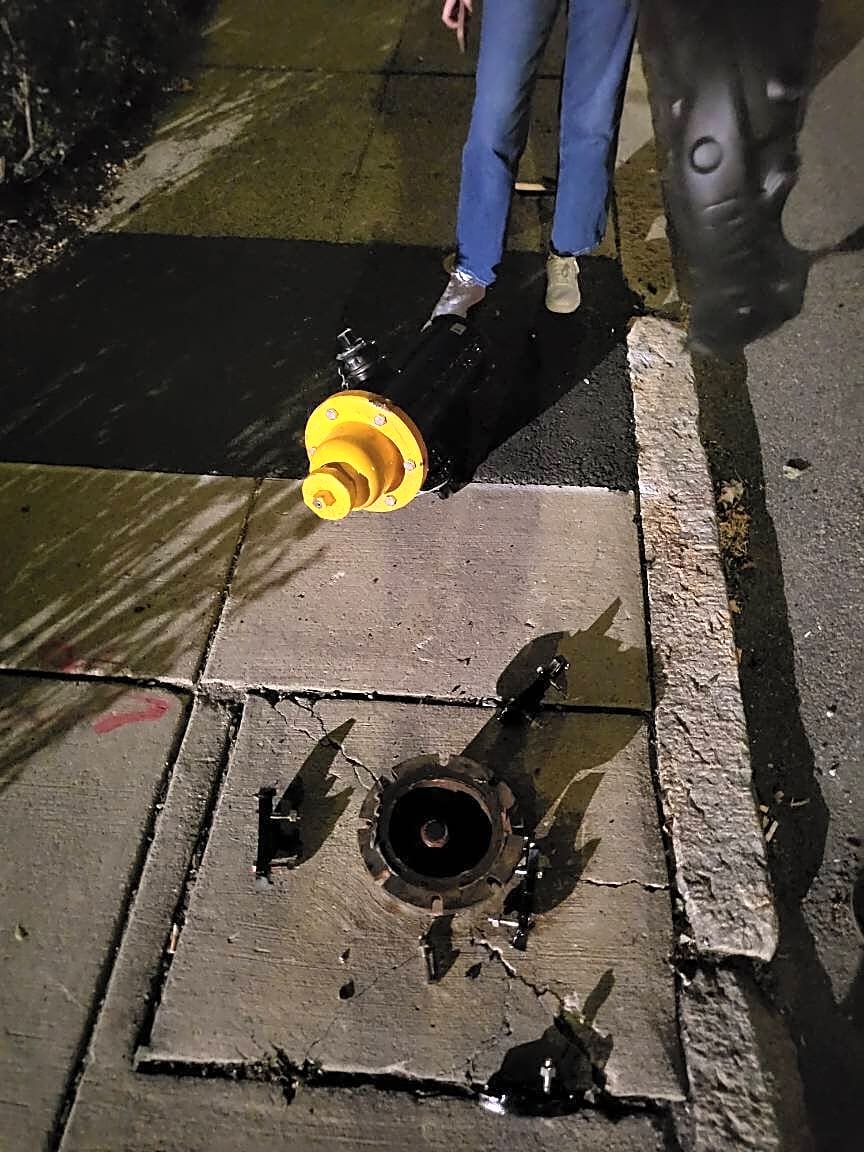 Image submitted with report