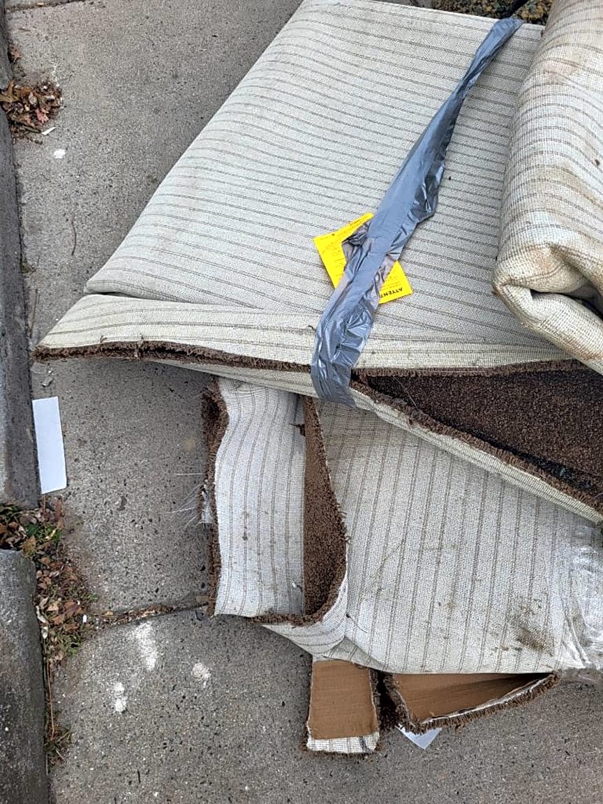 Image submitted with report