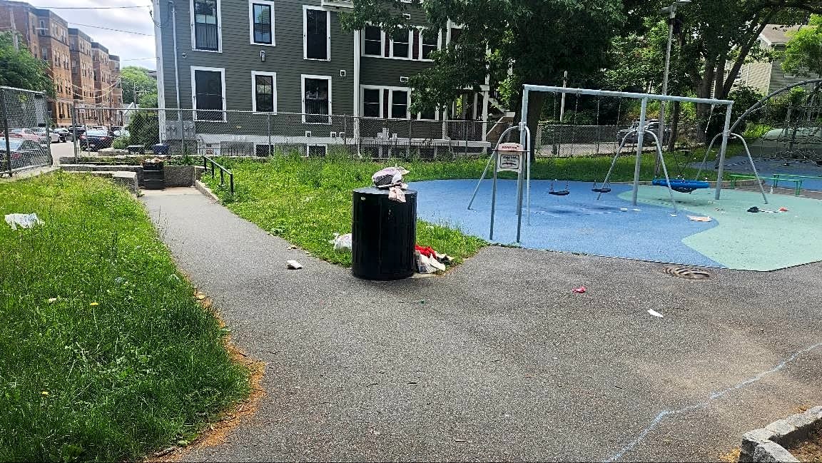 Image submitted with report