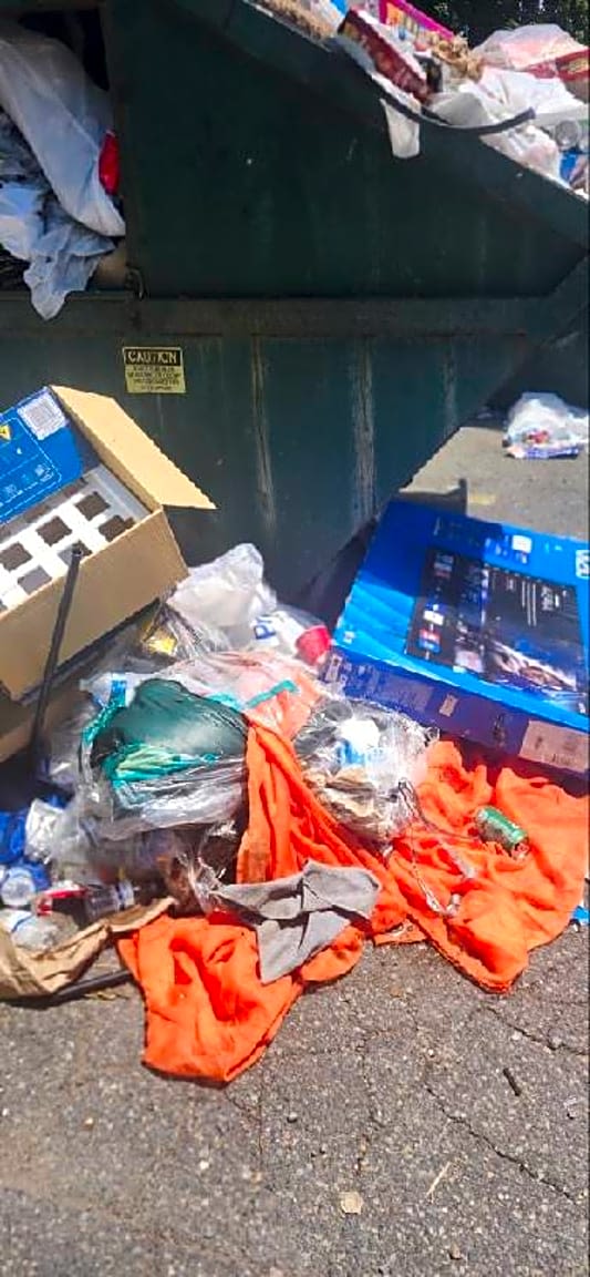 Image submitted with report