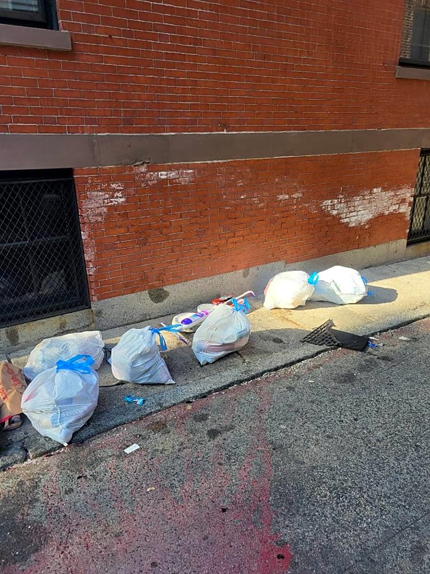 Image submitted with report