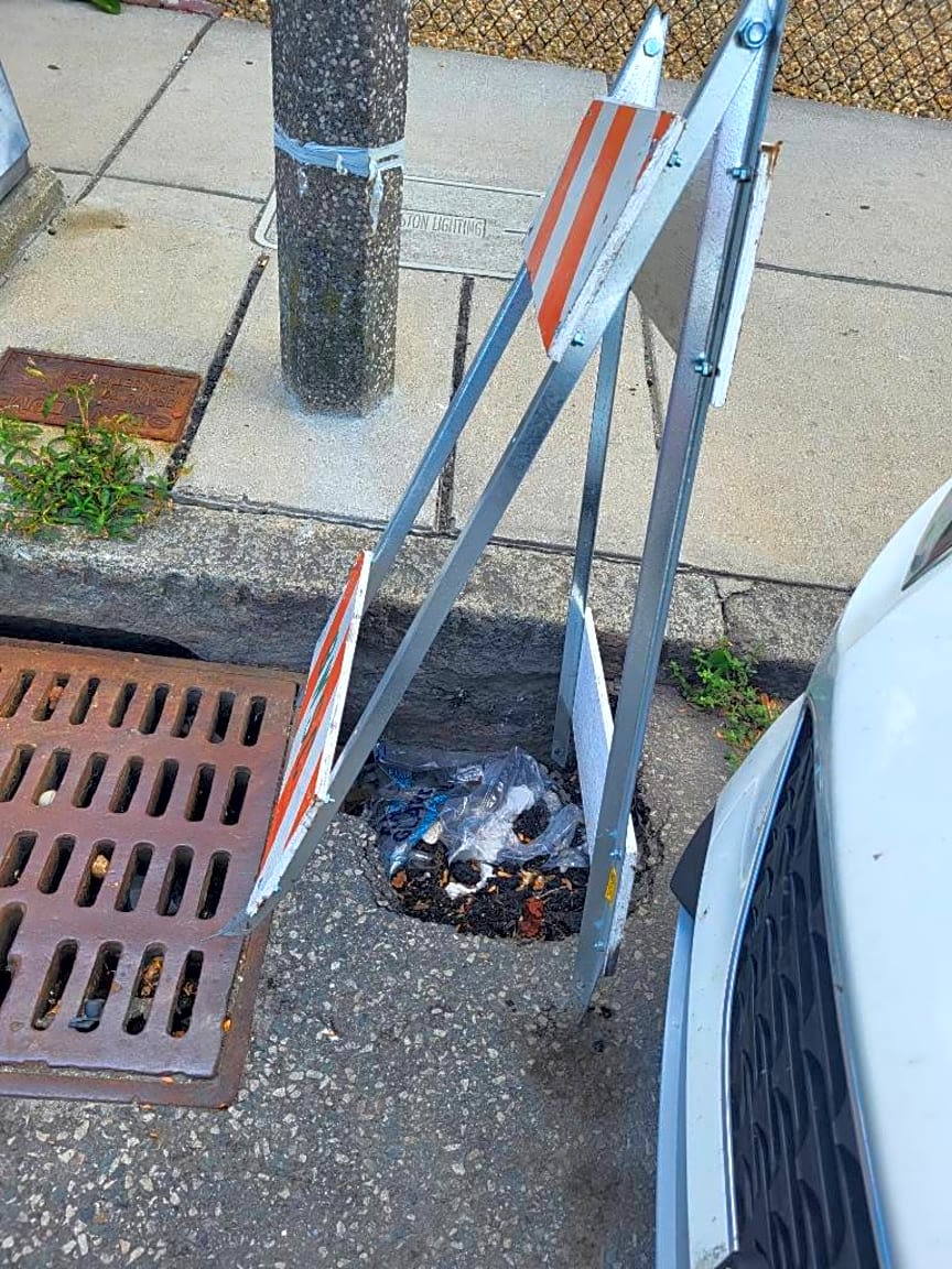 Image submitted with report