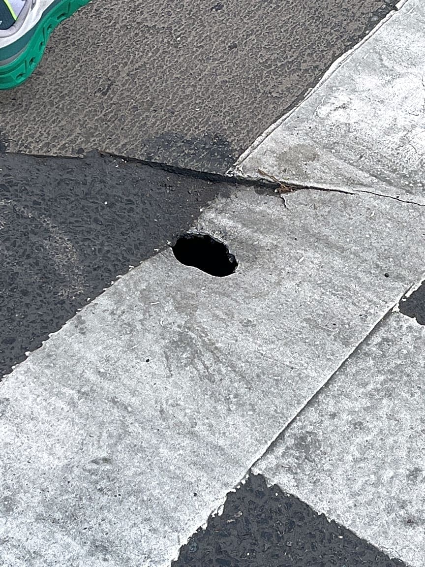 Image submitted with report