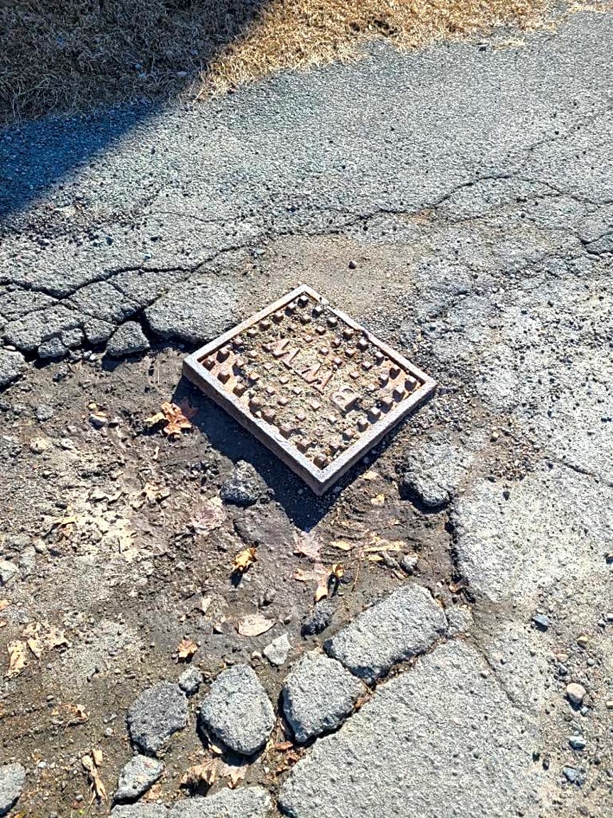 Image submitted with report