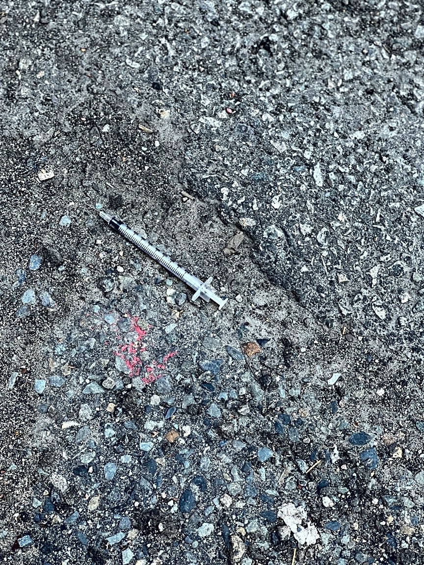 Image submitted with report
